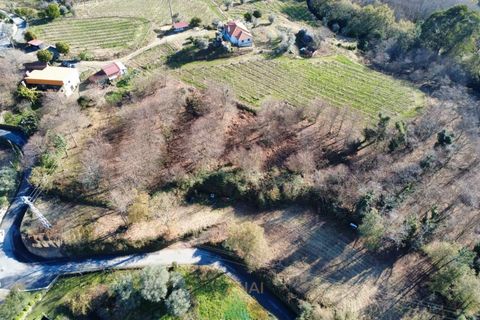 Helårsgrund i Ponte de Lima, Viana do Castelo, Ponte de Lima - € 95.000 | Ref: AVV-002-026 - foto 4