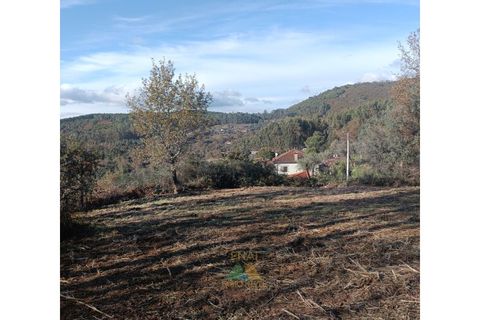 Helårsgrund i Ponte de Lima, Viana do Castelo, Ponte de Lima - € 95.000 | Ref: AVV-002-026 - foto 5