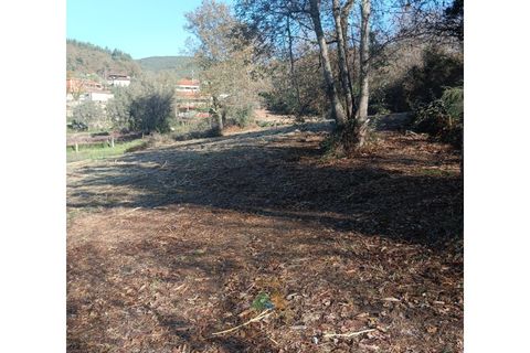 Helårsgrund i Ponte de Lima, Viana do Castelo, Ponte de Lima - € 95.000 | Ref: AVV-002-026 - foto 7