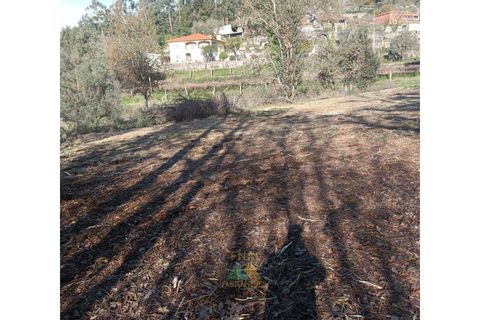 Helårsgrund i Ponte de Lima, Viana do Castelo, Ponte de Lima - € 95.000 | Ref: AVV-002-026 - foto 8