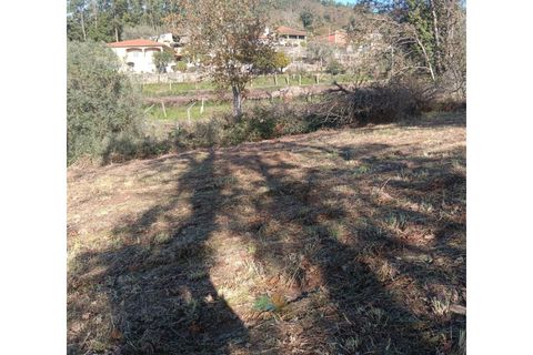 Helårsgrund i Ponte de Lima, Viana do Castelo, Ponte de Lima - € 95.000 | Ref: AVV-002-026 - foto 9