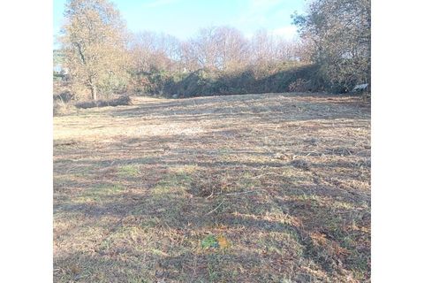 Helårsgrund i Ponte de Lima, Viana do Castelo, Ponte de Lima - € 95.000 | Ref: AVV-002-026 - foto 10