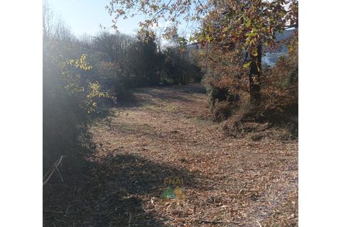 Helårsgrund i Ponte de Lima, Viana do Castelo, Ponte de Lima - € 95.000 | Ref: AVV-002-026 - foto 11