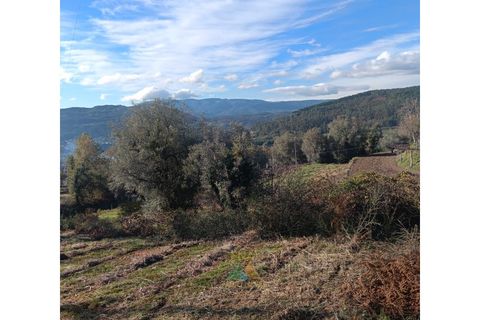 Helårsgrund i Ponte de Lima, Viana do Castelo, Ponte de Lima - € 95.000 | Ref: AVV-002-026 - foto 12