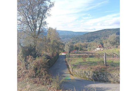 Helårsgrund i Ponte de Lima, Viana do Castelo, Ponte de Lima - € 95.000 | Ref: AVV-002-026 - foto 13