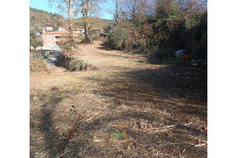 Helårsgrund i Ponte de Lima, Viana do Castelo, Ponte de Lima - € 95.000 | Ref: AVV-002-026 - foto 14