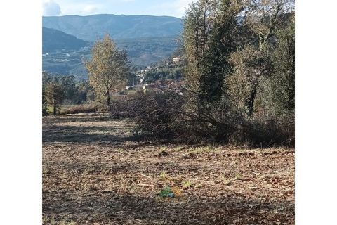 Helårsgrund i Ponte de Lima, Viana do Castelo, Ponte de Lima - € 95.000 | Ref: AVV-002-026 - foto 17