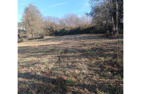 Helårsgrund i Ponte de Lima, Viana do Castelo, Ponte de Lima - € 95.000 | Ref: AVV-002-026 - foto 18