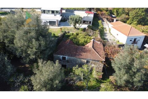 Villa i Arcos de Valdevez, Viana do Castelo, Arcos de Valdevez - € 55.000 | Ref: AVV-021-023 - foto 4