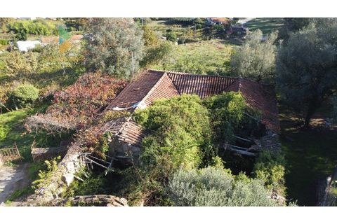 Villa i Arcos de Valdevez, Viana do Castelo, Arcos de Valdevez - € 55.000 | Ref: AVV-021-023 - foto 8