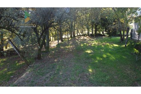 Villa i Arcos de Valdevez, Viana do Castelo, Arcos de Valdevez - € 55.000 | Ref: AVV-021-023 - foto 9