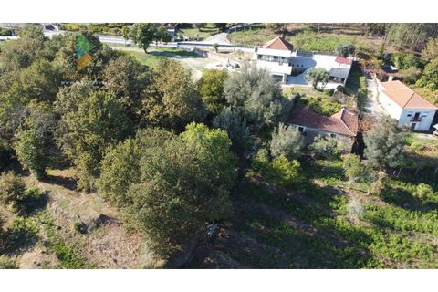Villa i Arcos de Valdevez, Viana do Castelo, Arcos de Valdevez - € 55.000 | Ref: AVV-021-023 - foto 13