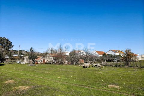Helårsgrund i Evora, Evora, Evora - € 600.000 | Ref: 03378/T001 - foto 4