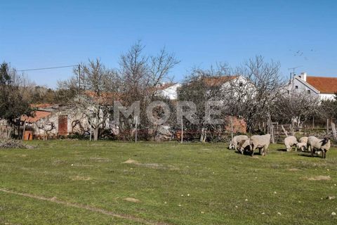 Helårsgrund i Evora, Evora, Evora - € 600.000 | Ref: 03378/T001 - foto 2