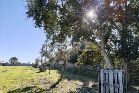 Helårsgrund i Evora, Evora, Evora - € 600.000 | Ref: 03378/T001 - foto 3