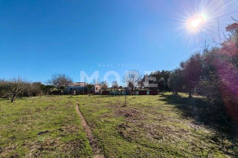 Helårsgrund i Evora, Evora, Evora - € 600.000 | Ref: 03378/T001 - foto 6