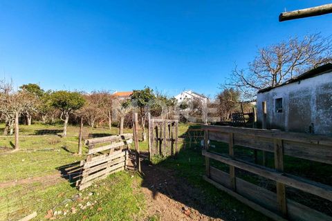 Helårsgrund i Evora, Evora, Evora - € 600.000 | Ref: 03378/T001 - foto 8