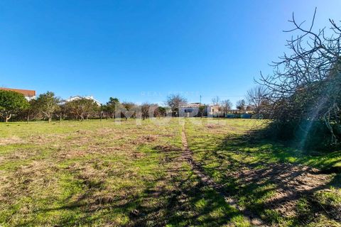 Helårsgrund i Evora, Evora, Evora - € 600.000 | Ref: 03378/T001 - foto 9