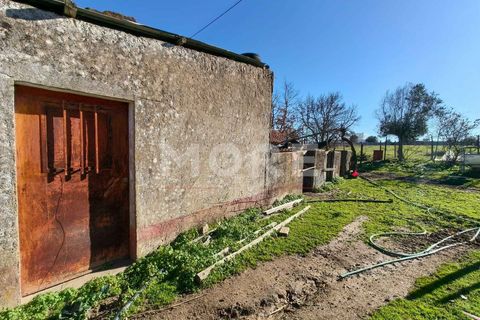 Helårsgrund i Evora, Evora, Evora - € 600.000 | Ref: 03378/T001 - foto 10
