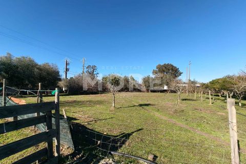 Helårsgrund i Evora, Evora, Evora - € 600.000 | Ref: 03378/T001 - foto 11