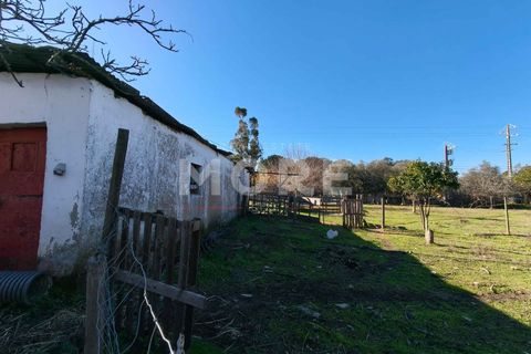Helårsgrund i Evora, Evora, Evora - € 600.000 | Ref: 03378/T001 - foto 12