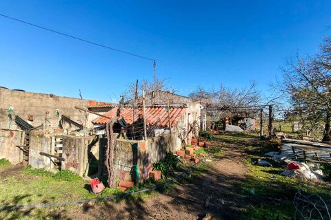 Helårsgrund i Evora, Evora, Evora - € 600.000 | Ref: 03378/T001 - foto 13