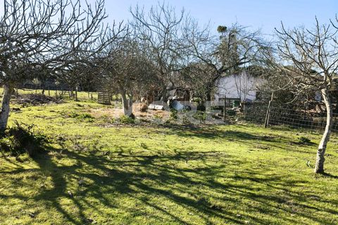 Helårsgrund i Evora, Evora, Evora - € 600.000 | Ref: 03378/T001 - foto 14