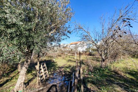 Helårsgrund i Evora, Evora, Evora - € 600.000 | Ref: 03378/T001 - foto 16