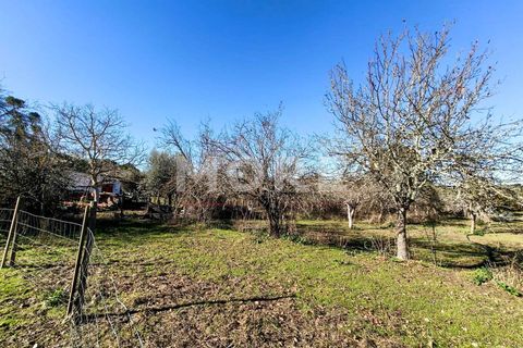 Helårsgrund i Evora, Evora, Evora - € 600.000 | Ref: 03378/T001 - foto 17