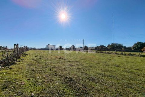 Helårsgrund i Evora, Evora, Evora - € 600.000 | Ref: 03378/T001 - foto 18