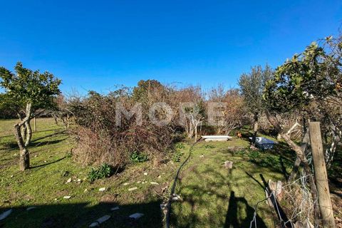 Helårsgrund i Evora, Evora, Evora - € 600.000 | Ref: 03378/T001 - foto 19