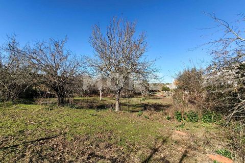 Helårsgrund i Evora, Evora, Evora - € 600.000 | Ref: 03378/T001 - foto 20