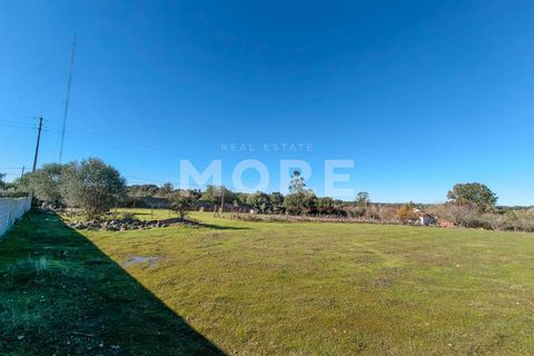 Helårsgrund i Evora, Evora, Evora - € 600.000 | Ref: 03378/T001 - foto 21