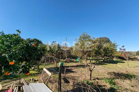 Helårsgrund i Evora, Evora, Evora - € 600.000 | Ref: 03378/T001 - foto 24