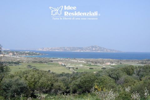 Villa i Palau, Sassari, Palau - € 1.790.000 | Ref: villa 3 azzurra - foto 11