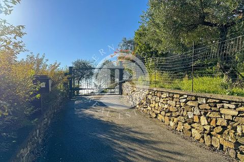 Villa en Lavagna, Genoa, Lavagna - € 1.950.000 | Ref: IB 765 - photo 24