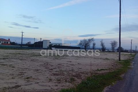 Helårsgrund i Ovar, Aveiro, Ovar - € 470.000 | Ref: PP12012026 - foto 2