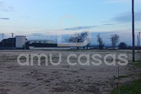 Helårsgrund i Ovar, Aveiro, Ovar - € 470.000 | Ref: PP12012026 - foto 3
