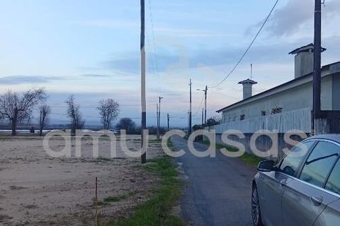 Helårsgrund i Ovar, Aveiro, Ovar - € 470.000 | Ref: PP12012026 - foto 4