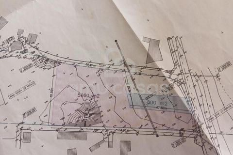 Helårsgrund i Ovar, Aveiro, Ovar - € 470.000 | Ref: PP12012026 - foto 7