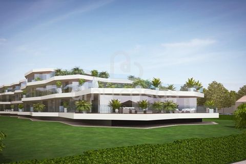 Helårsgrund i Murtosa, Aveiro, Murtosa - € 375.000 | Ref: PP09012026 - foto 2
