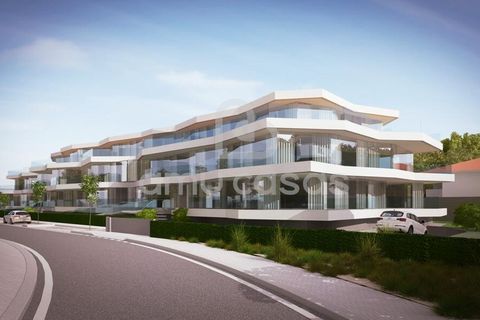 Helårsgrund i Murtosa, Aveiro, Murtosa - € 375.000 | Ref: PP09012026 - foto 3