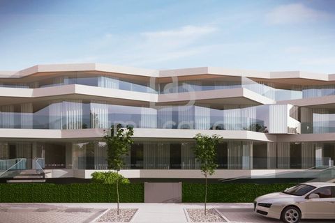 Helårsgrund i Murtosa, Aveiro, Murtosa - € 375.000 | Ref: PP09012026 - foto 4