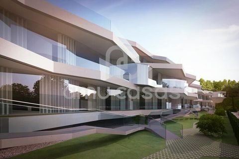 Helårsgrund i Murtosa, Aveiro, Murtosa - € 375.000 | Ref: PP09012026 - foto 5