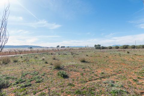 Villa i Murcia, Murcia, Murcia - € 315.000 | Ref: ff6a6dd6-8ca0-4c40-b - foto 32