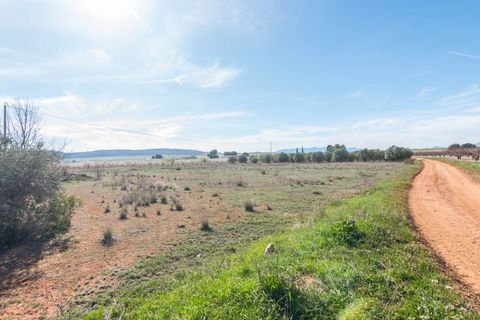 Villa i Murcia, Murcia, Murcia - € 315.000 | Ref: ff6a6dd6-8ca0-4c40-b - foto 36
