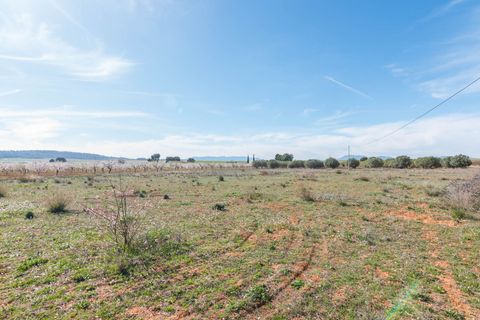 Villa i Murcia, Murcia, Murcia - € 315.000 | Ref: ff6a6dd6-8ca0-4c40-b - foto 39
