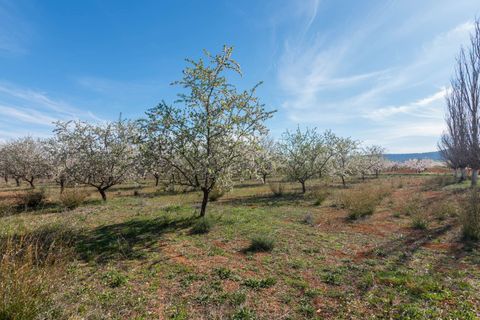 Villa i Murcia, Murcia, Murcia - € 315.000 | Ref: ff6a6dd6-8ca0-4c40-b - foto 40