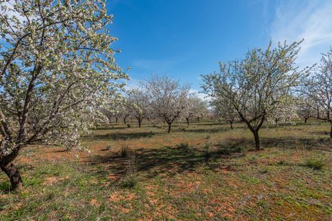 Villa i Murcia, Murcia, Murcia - € 315.000 | Ref: ff6a6dd6-8ca0-4c40-b - foto 41