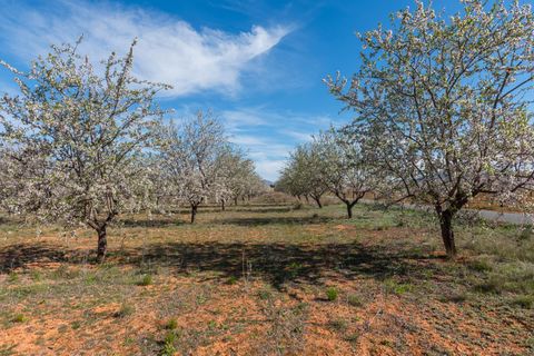 Villa i Murcia, Murcia, Murcia - € 315.000 | Ref: ff6a6dd6-8ca0-4c40-b - foto 42
